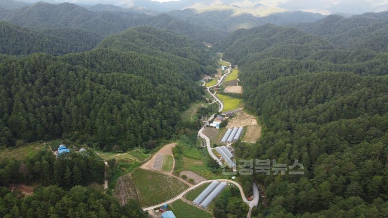 울진 금강송 산지농업시스템, 세계중요농업유산 등재(소광리).JPG