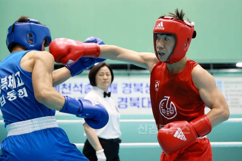 (예천군)2025 예천석송령배 경북생활체육 복싱대회 개최-작년도 대회사진 (3).JPG