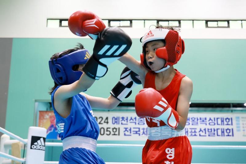 (예천군)2025 예천석송령배 경북생활체육 복싱대회 개최-작년도 대회사진 (2).JPG