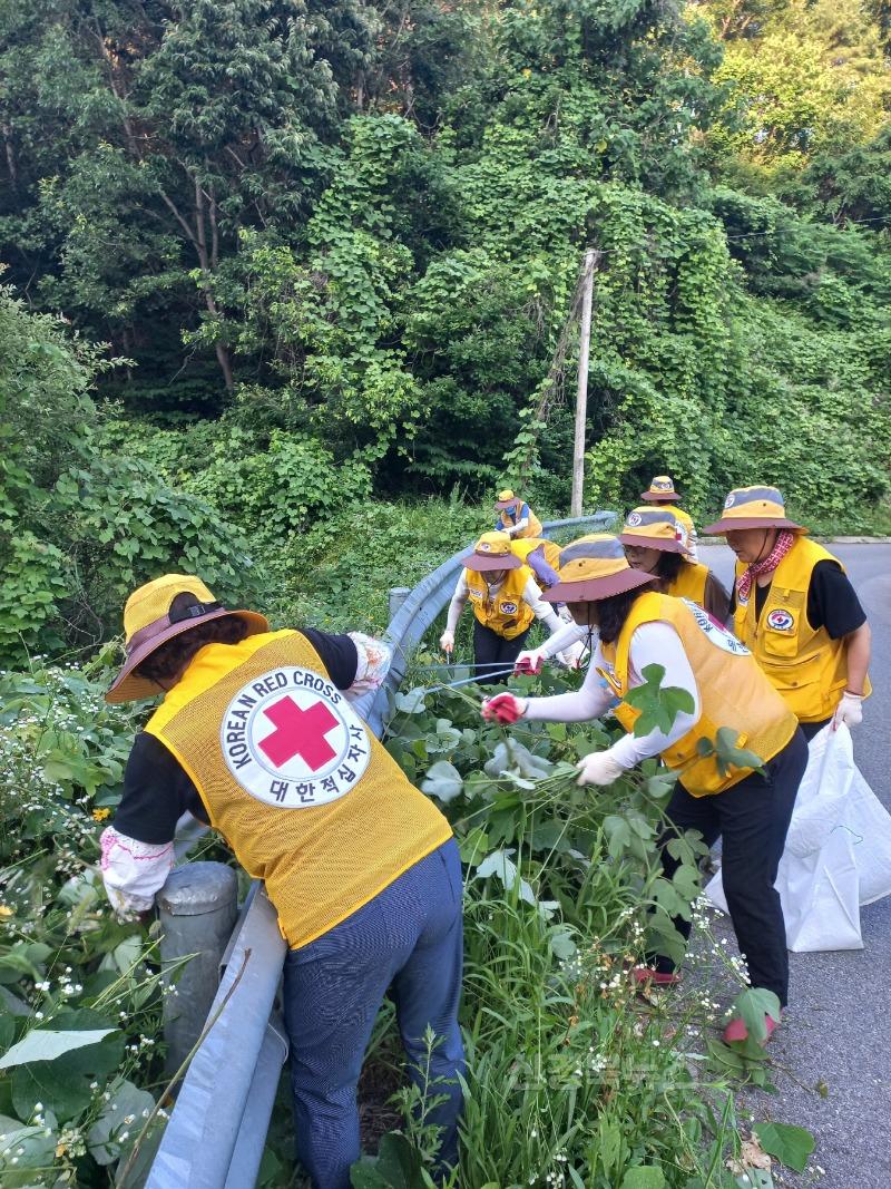 영주-5-3 영주시 평은면 적십자봉사회, 강동리 양잠~동호교 주변 주요 도로변 환경정비를 전개하고 있다.jpg