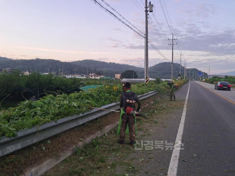 감천면, 무성한 풀 깎아내고‘안전·미관 두 마리 토끼’잡는다-감천면(사진1).jpg