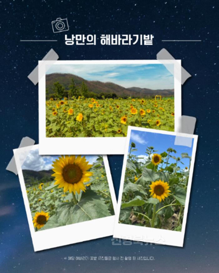 [크기변환]0710 안동시  ‘2025 안동포 세대공감 페스타’ 개최 (2).jpg
