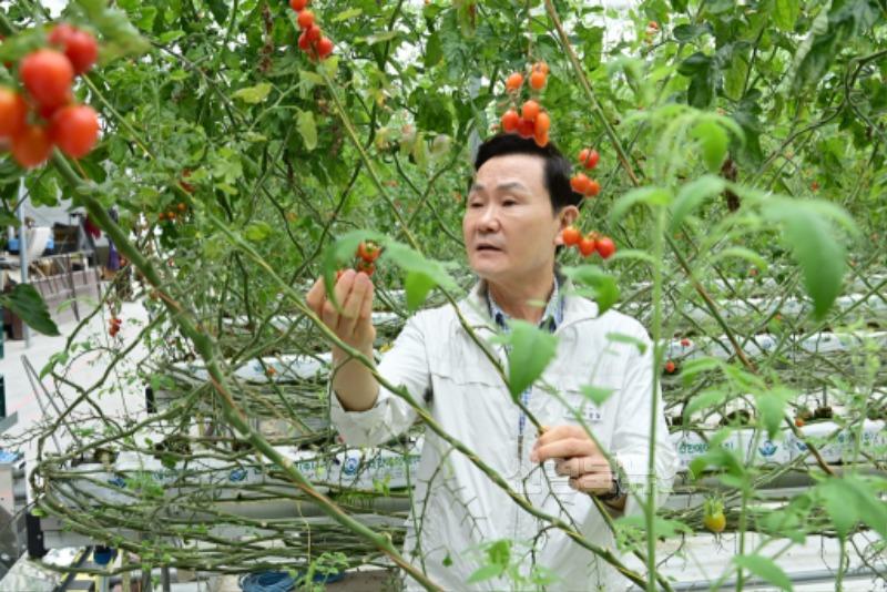 스마트팜 작업자 추종 운반로봇 시범 보급사업 평가회 개최! (4).jpg