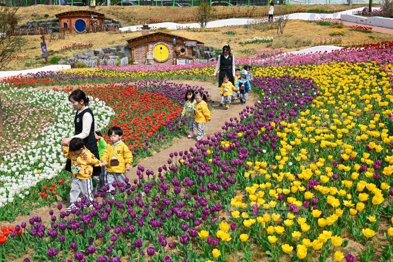 2025년 07월 13일_세천늪테마정원 사진 1(2025년 4월 10일, 세천늪테마정원에서 활짝 핀 튤립 사이를 따라 산책 중인 어린이집 원아들.).jpg