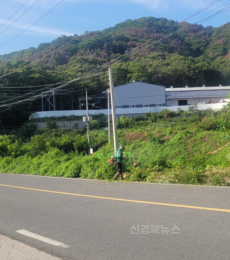 개령면 새마을남녀협의회, 깨끗한 환경을 위한 연도변 풀베기 실시-개령면(사진2).jpg