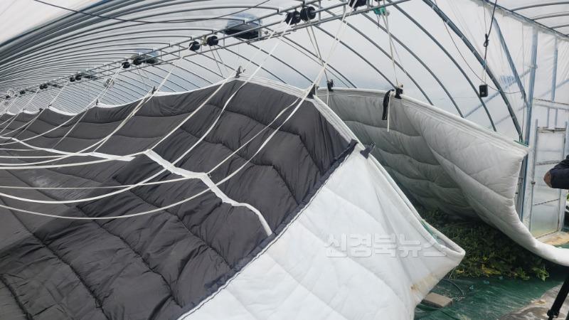 성주군사진(2025년 시설원예현대화사업 확대 보급).jpg
