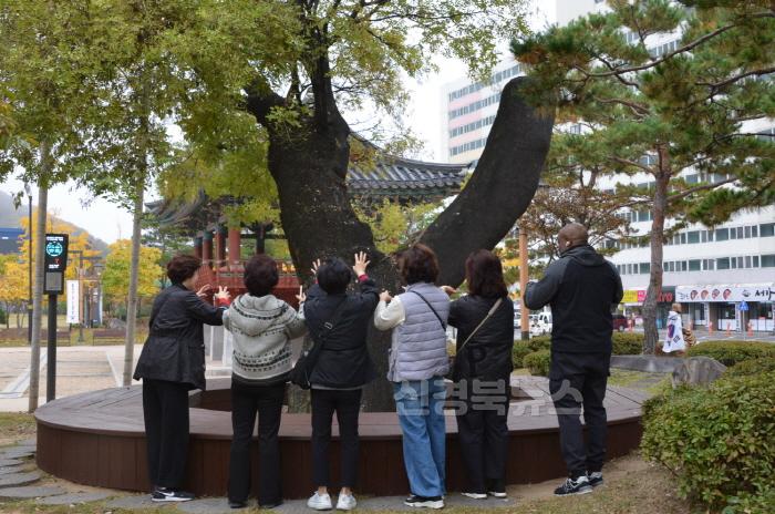 [크기변환]걱정나무.JPG
