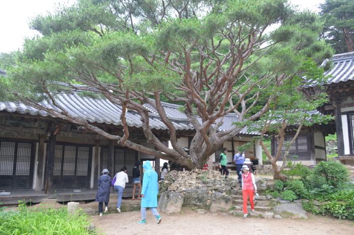 [크기변환]봉정사 영산암 3만가지 근심 해소.JPG