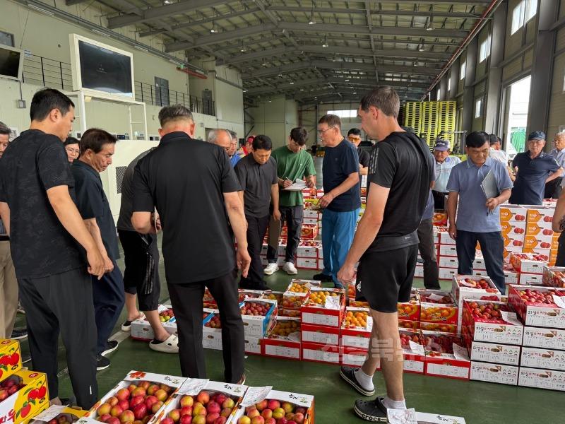 250722_2_공판장개장(자두)_농업기술센터.jpg