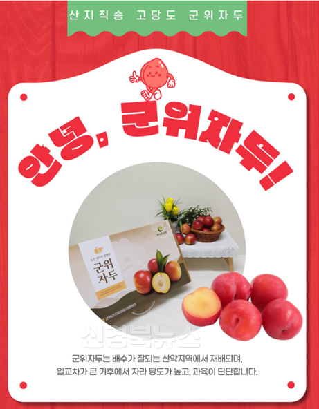 250722_2_군위자두_농업기술센터.png