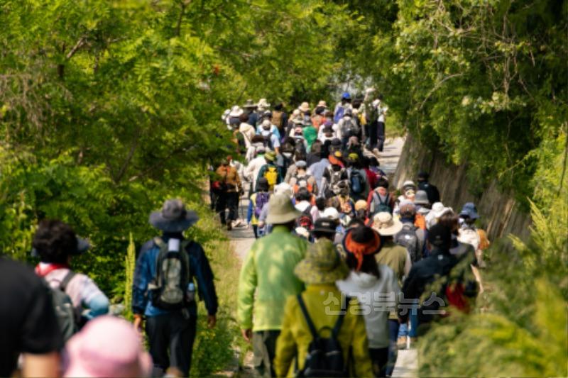 영주-6-2 (참고사진)시민들이 일상 속에서 꾸준한 걷기를 실천하고 있다.jpg