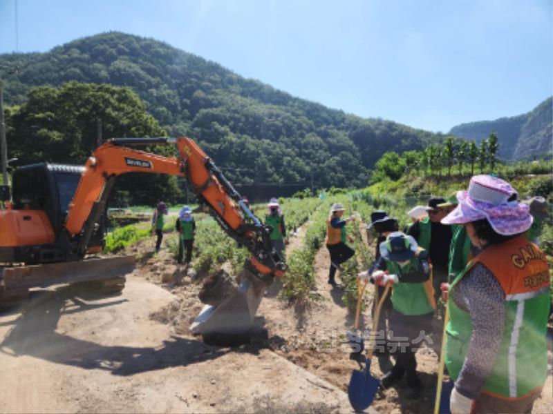 경산시 - 경산시 자율방재단, 호우 피해 농경지 복구 위해 구슬땀2.JPG