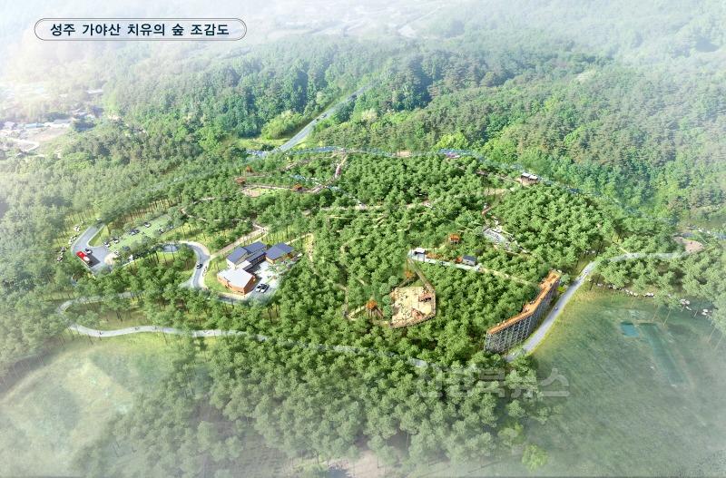 성주군사진(성주 가야산 치유의 숲 조성계획 승인 완료).jpg