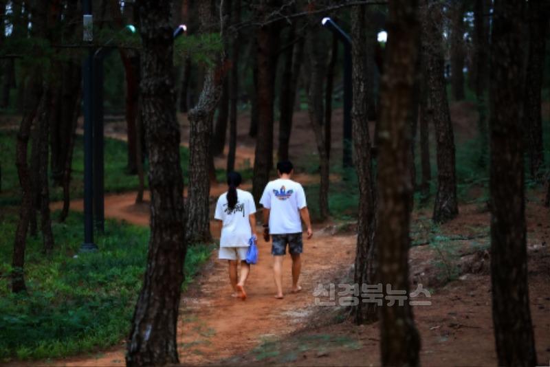 관광객이 월송정 맨발걷기 길을 걷고있다1.jpg