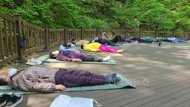 2025년 08월 04일_치유의 숲 프로그램 사진 4(숲 명상).jpg