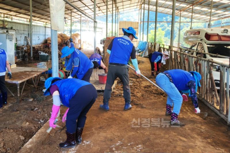 250805보도자료(바르게살기운동청송군협의회, 경남 산청서 수해복구 봉사활동 펼쳐) (2).jpg