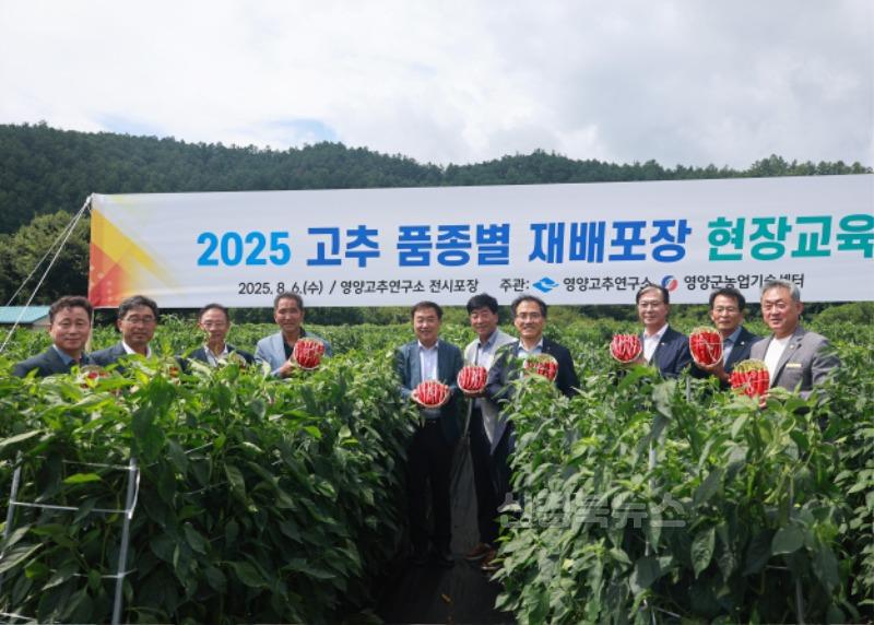 3-5 사진(2025년도 영양고추 종합평가회 개최) (2).jpg