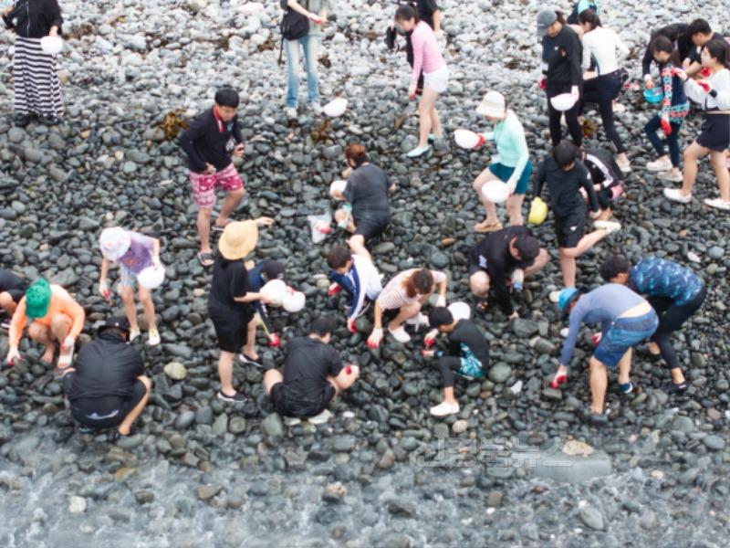 바다미꾸라지 잡기(행사 둘째날).jpg