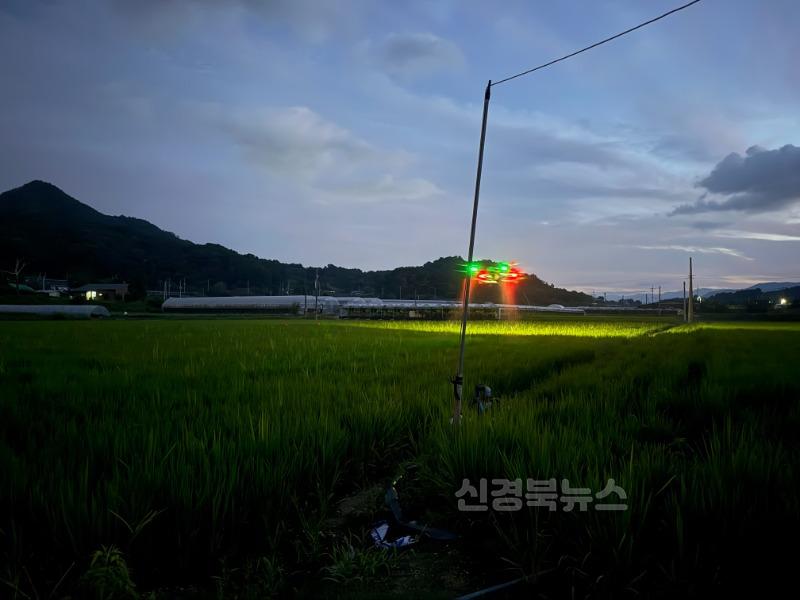 김천시, 벼 병해충 드론 활용 공동방제 호응-기술지원과(사진3).jpg