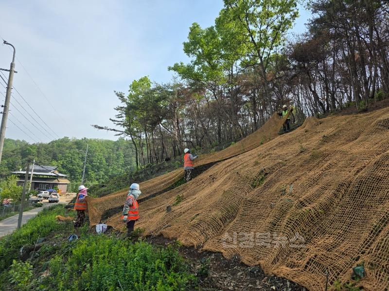 01의성군제공 산사태 대응 종합대책4.jpg