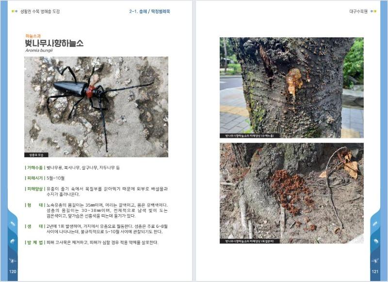 [붙임] 도감 내지 2.jpg