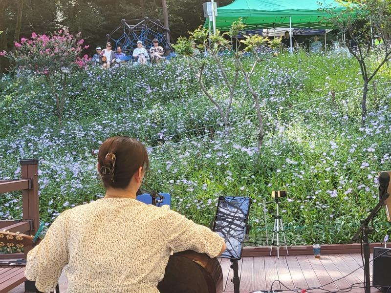 성주군사진(가야산 야생화버스킹 행사 개최).jpg