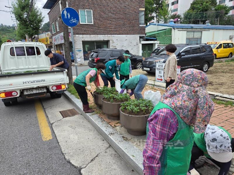 영주-8-3 새마을부녀회 회원들이 남간로 일대에 꽃 심기를 실시하고 있다.jpg