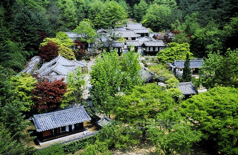 0813 예안향교, 제63대 이필상 전교 취임식 개최 (2).JPG