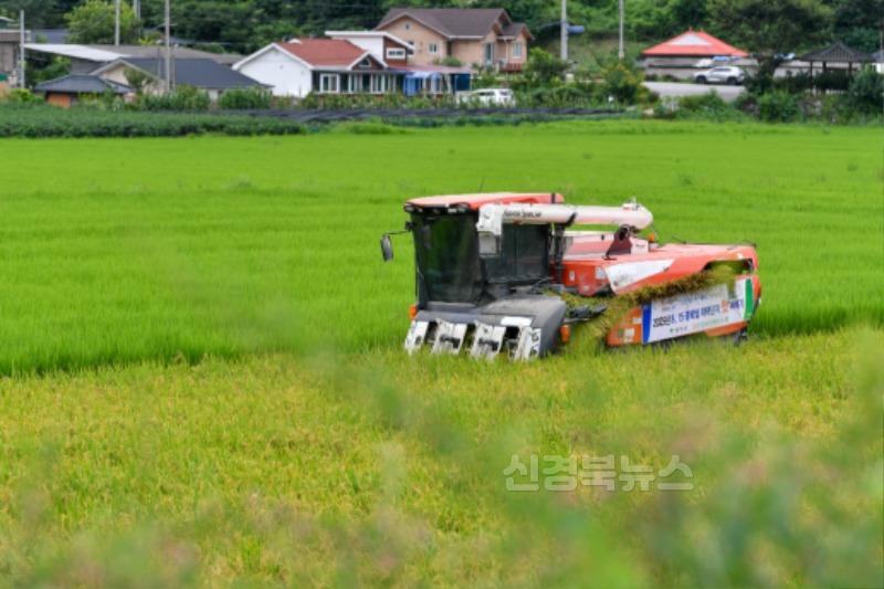 영주-2-4 트랙터가 벼를 수확하고 있다.jpg