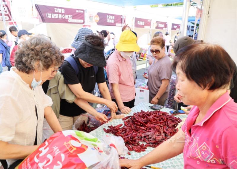 1-3 사진(2024년 영양고추 핫페스티벌(2) ).jpg