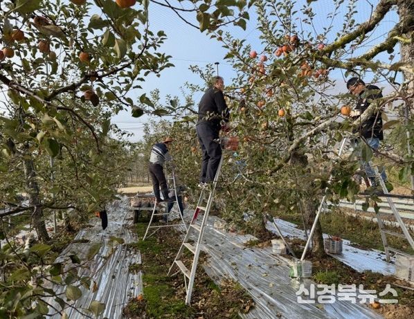 주택관리공단 대구경북지사, 농촌 일손돕기