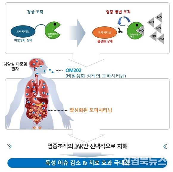 K-MEDI hub, 궤양성 대장염 치료제 원스톱 개발 지원