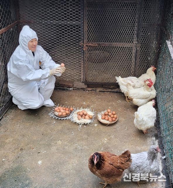 깨끗한 생산, 안전한 유통! 대구계란 안전인증