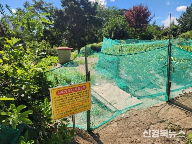 공유재산 정밀실태 조사 현장