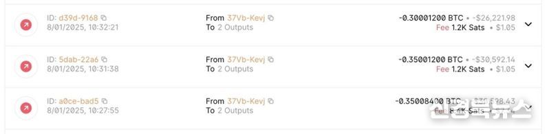 0.35 + 0.35 + 0.3 BTC 총 1비트코인을 출금해간 자료