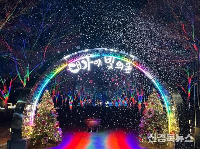 고령군 ‘눈 내리는 빛의 숲’ 성료…겨울밤의 감동 남기다