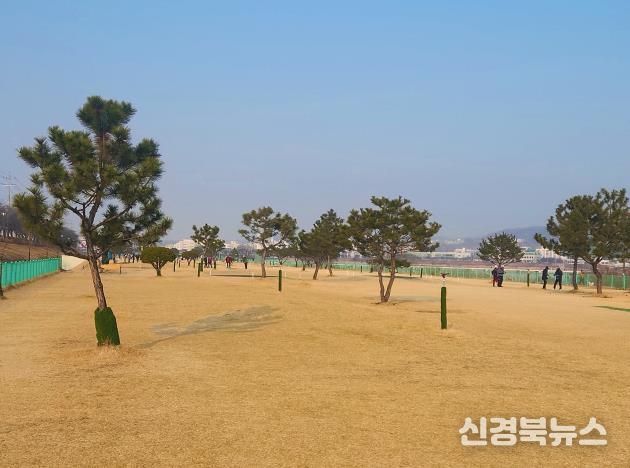 안동시, 2026년부터 파크골프장 시 직영 운영