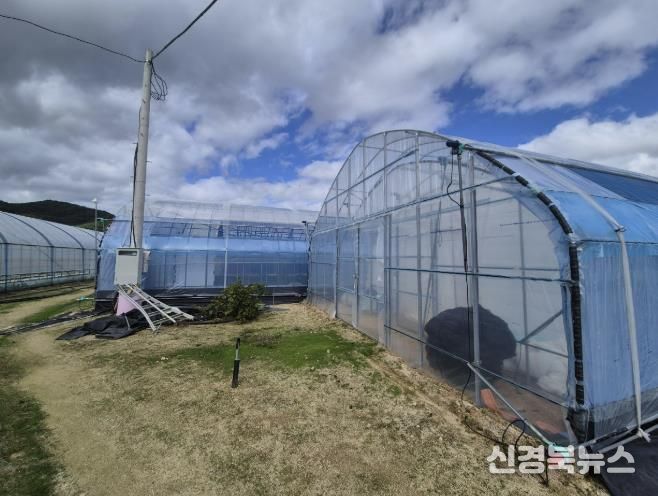 봉화군, 2026년 가업승계 우수농업인 정착지원사업 신청접수