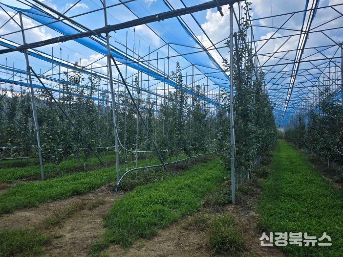 노지 스마트 기술 경북 확산 선도