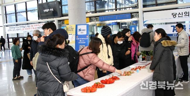 새콤달콤 프리미엄 딸기‘비타킹’홍보