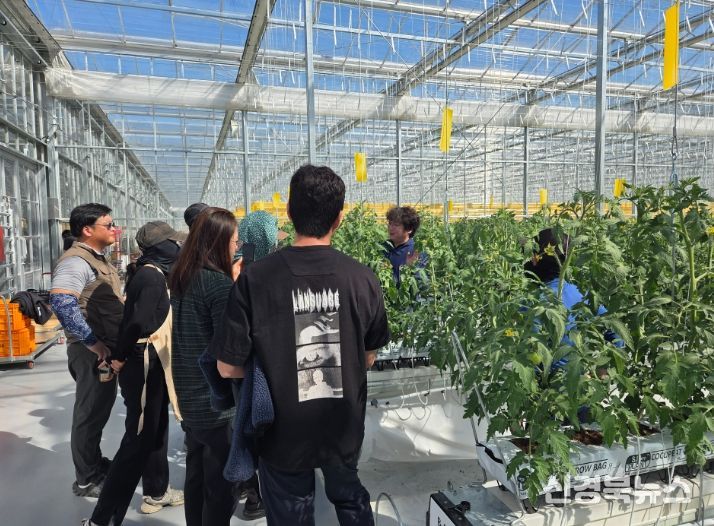 봉화군, 임대형 스마트팜 입주 농업인 맞춤형 현장 컨설팅