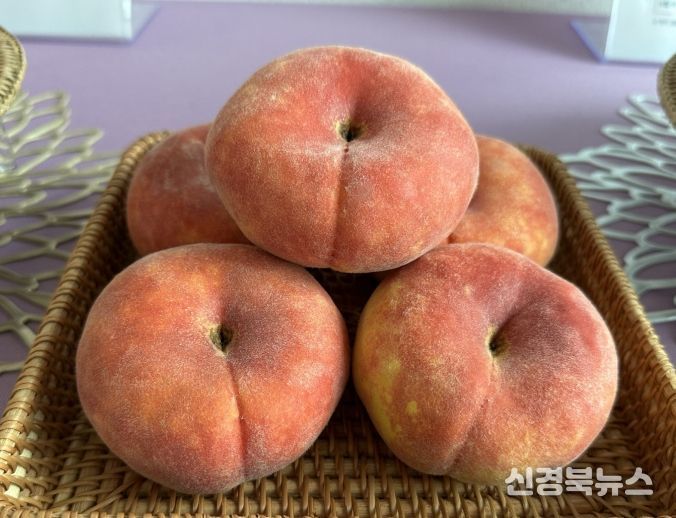 경북농업기술원, 복숭아 2가지 신품종 품종보호출원