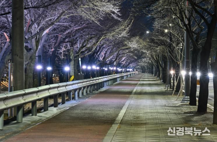 원당천 야간경관 개선공사를 완료했다