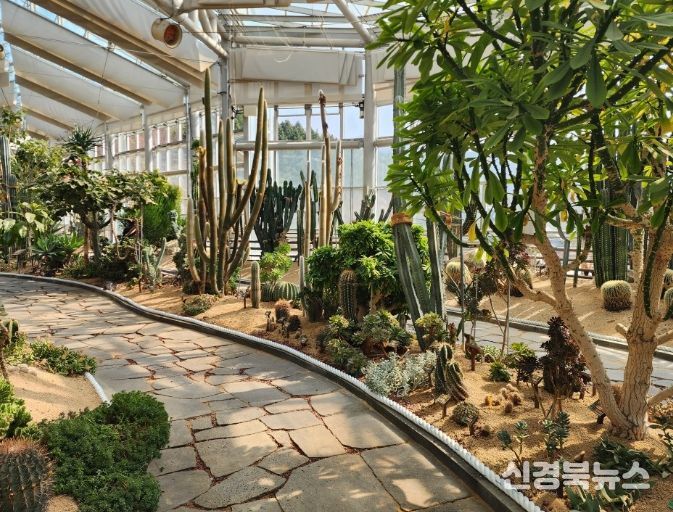 식생 기반 정비 실시