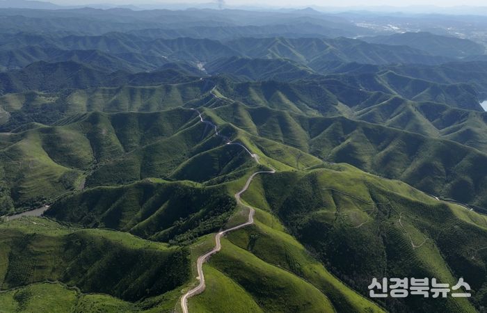 초대형 산불 이후, 함께 이겨낸 1년 안동시, 일상 회복 위에 새로운 미래를 그리다