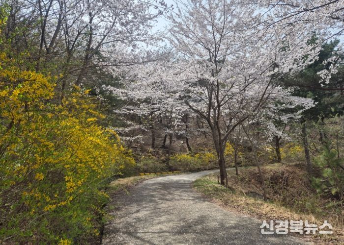 토함산자연휴양림, ‘꽃묘 나눔 행사’ 개최