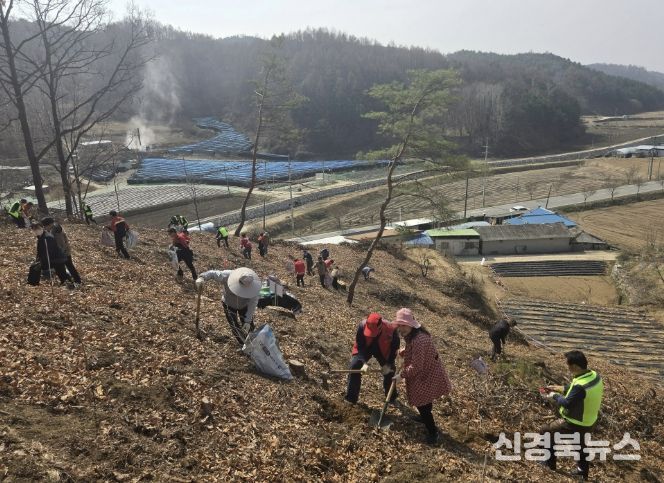 봉화군, 제81회 식목일 나무심기행사 개최