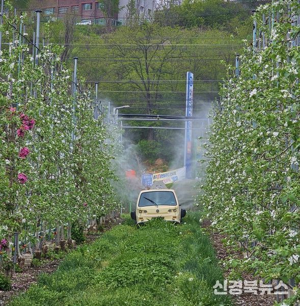 안동시, 과수화상병 ‘개화기 적기 방제’ 총력