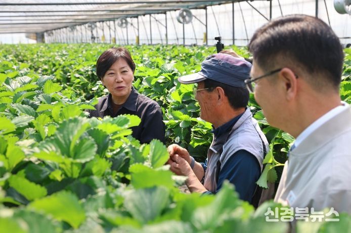 시설채소 생육동향 점검