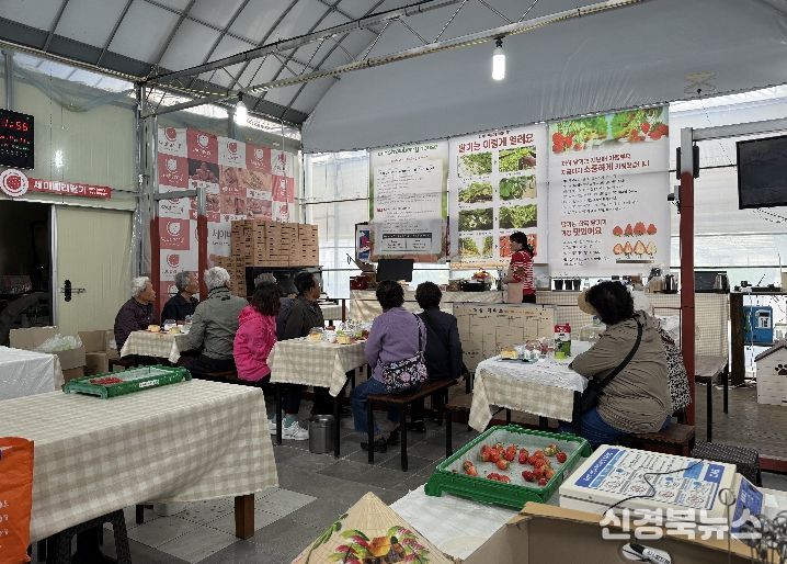 딸기체험 프로그램 운영